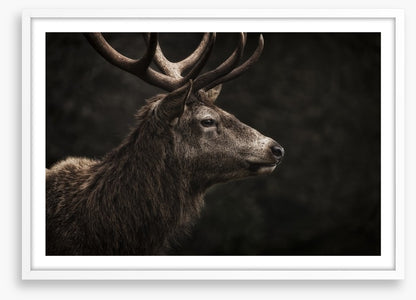Stag night