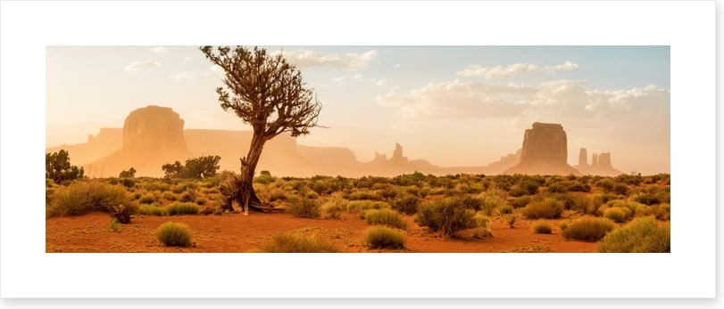 The wild Southwest