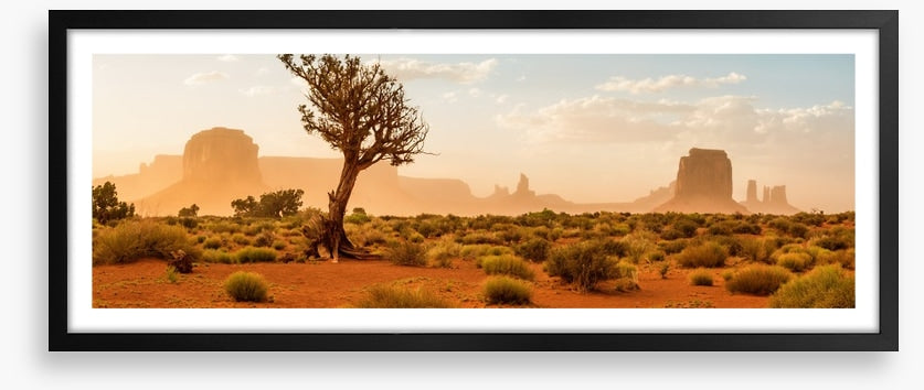 The wild Southwest