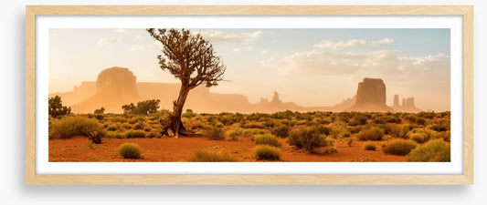 The wild Southwest