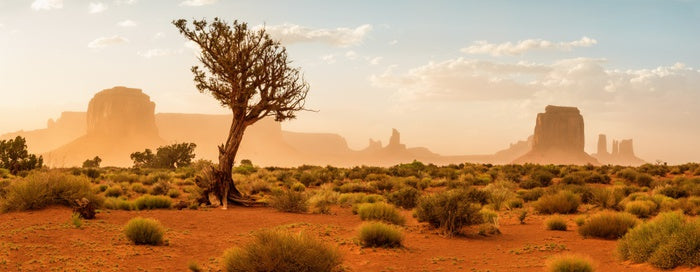 The wild Southwest