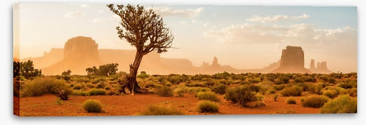 The wild Southwest