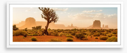 The wild Southwest
