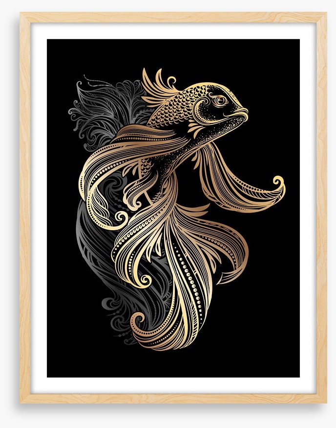Golden koi carp