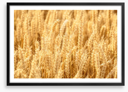 Agriculture