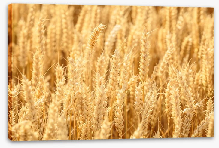 Agriculture