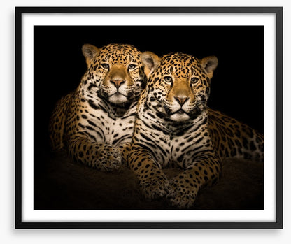 Team jaguar