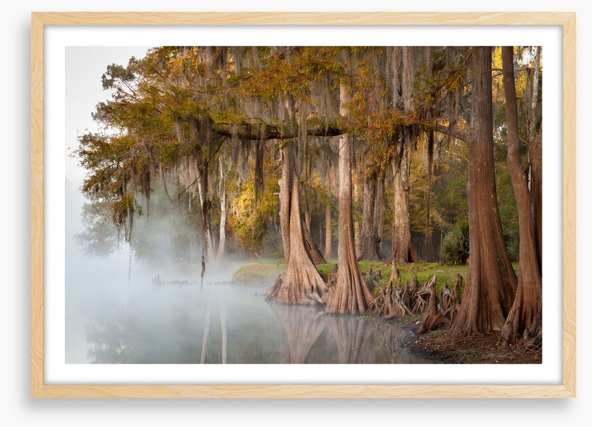 Cypress river mist