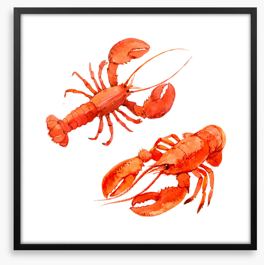 Pink lobsters
