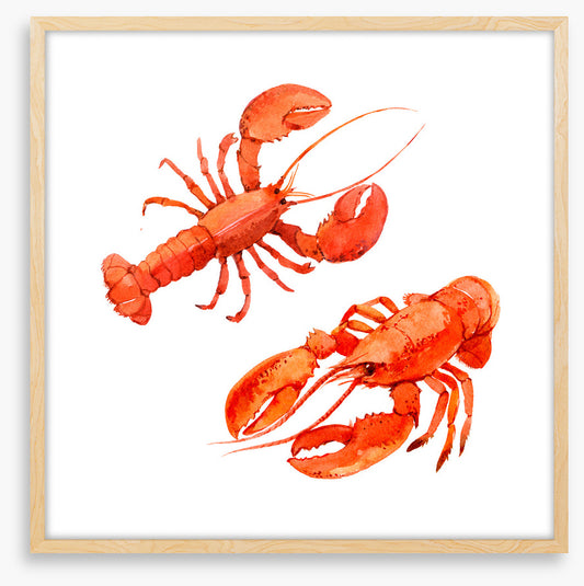 Pink lobsters