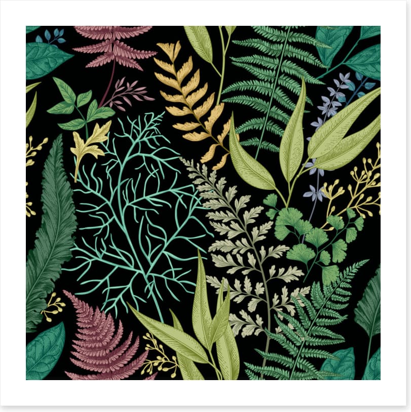 Ferny friends 3