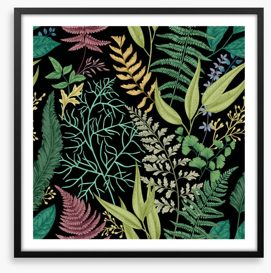 Ferny friends 3