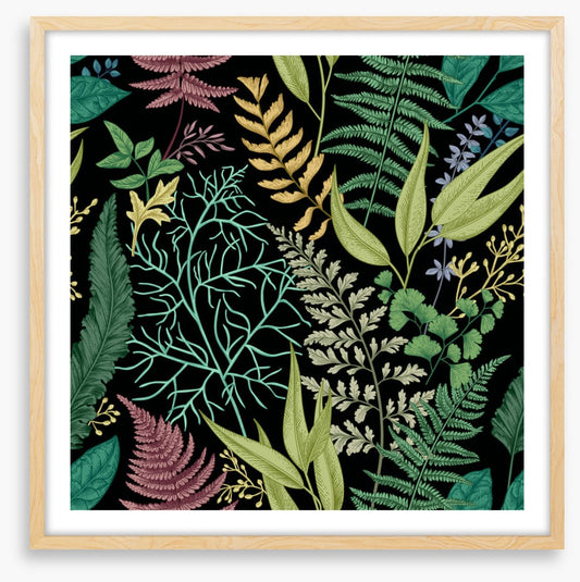 Ferny friends 3