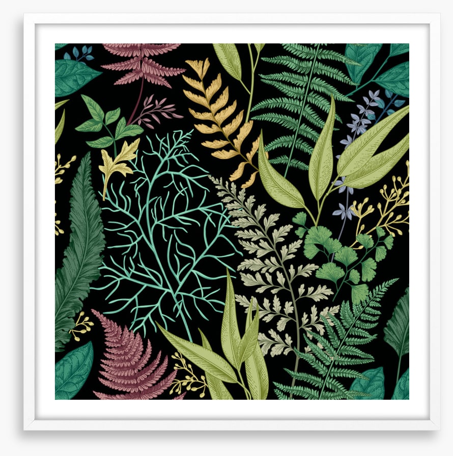 Ferny friends 3