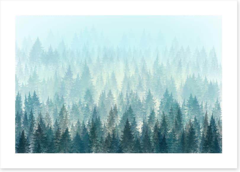 In the misty pines