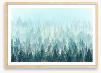 In the misty pines
