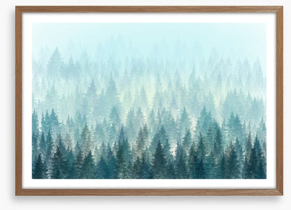 In the misty pines