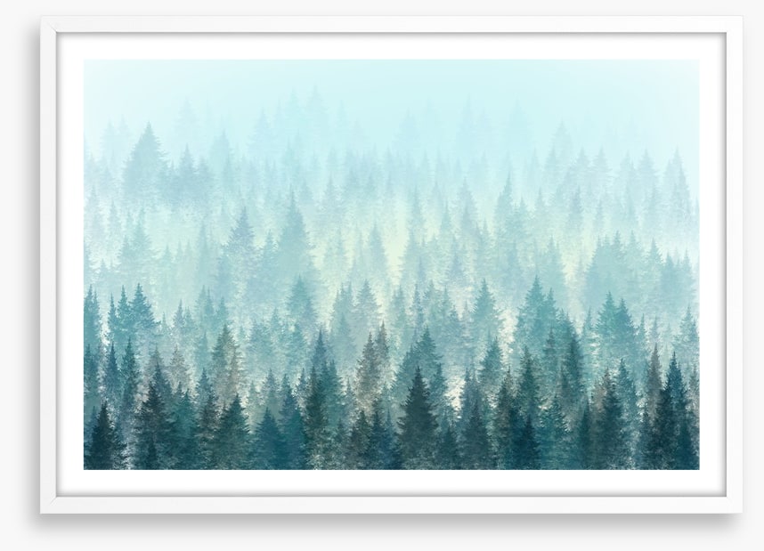 In the misty pines