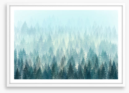 In the misty pines
