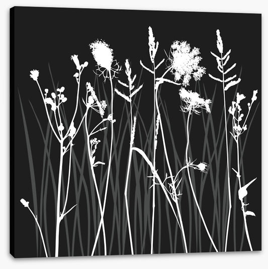 Moonlight silhouettes