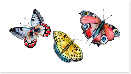 Butterflies