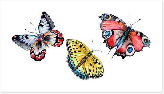 Butterflies