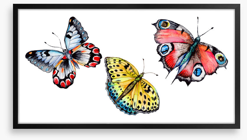 Butterflies