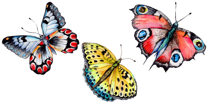 Butterflies