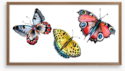 Butterflies