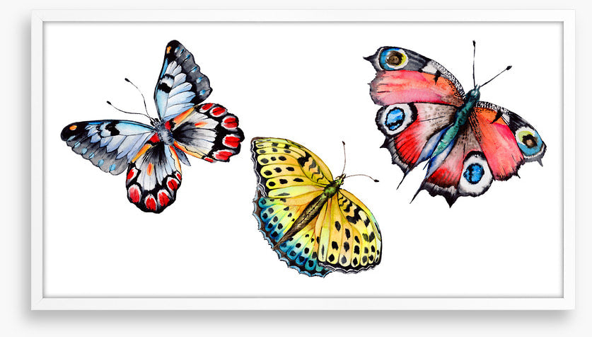 Butterflies