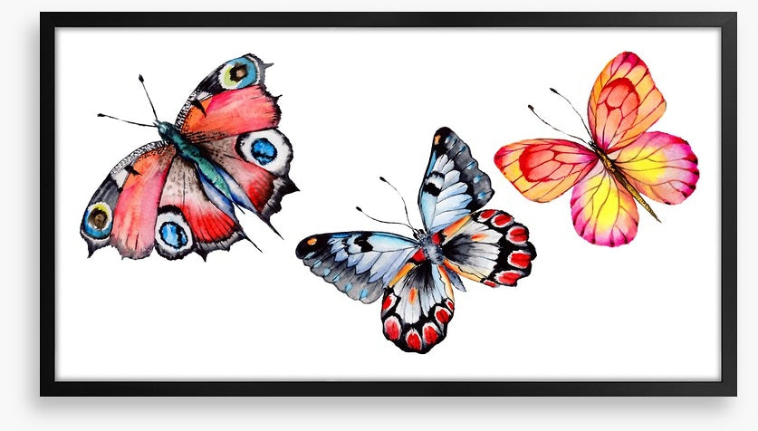 Butterfly trio I