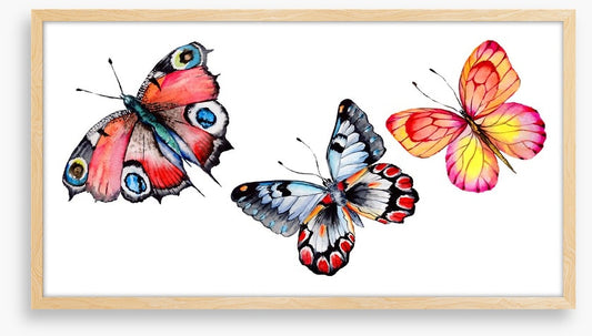 Butterfly trio I