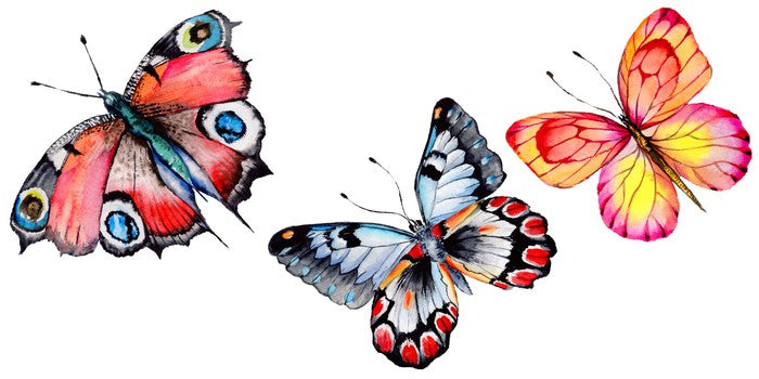 Butterfly trio I