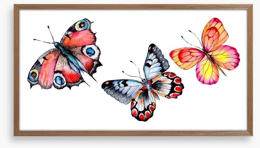 Butterfly trio I