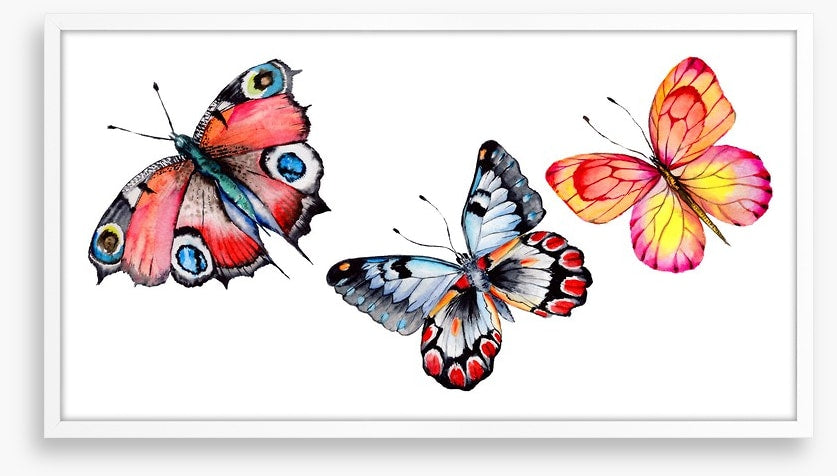 Butterfly trio I