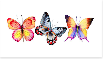 Butterfly trio II