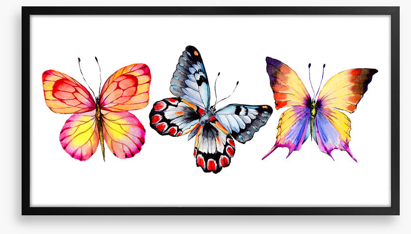 Butterfly trio II