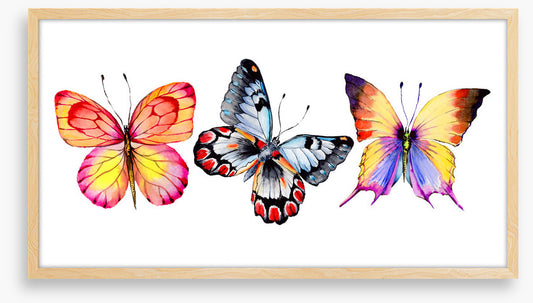 Butterfly trio II