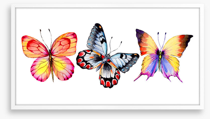 Butterfly trio II