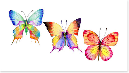 Butterflies