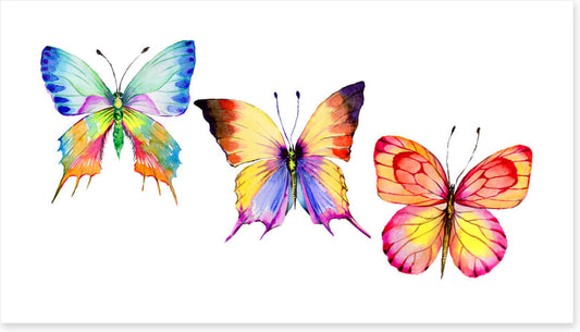 Butterflies