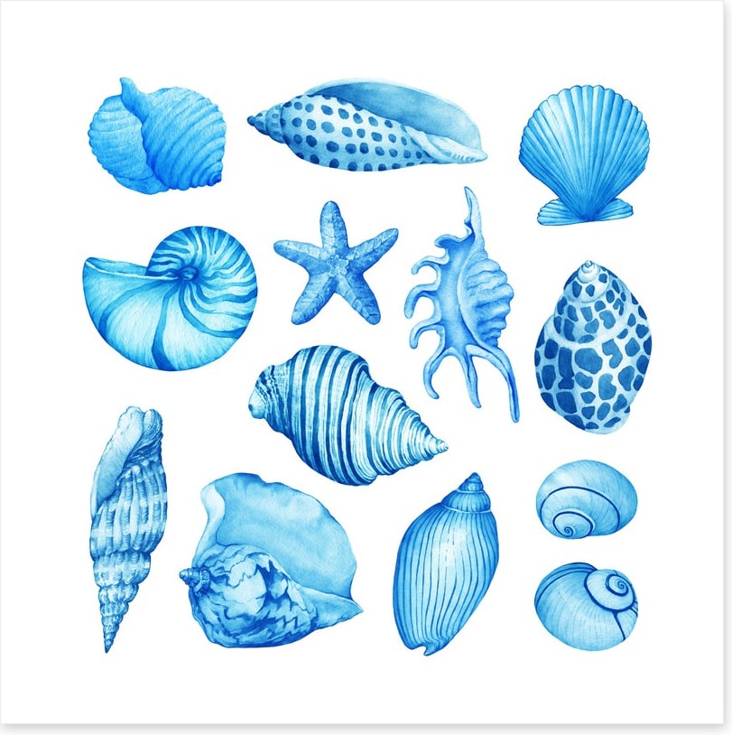 Coastal collection