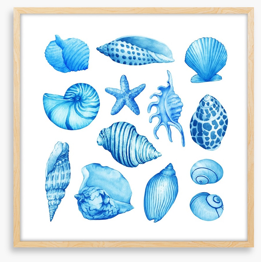 Coastal collection