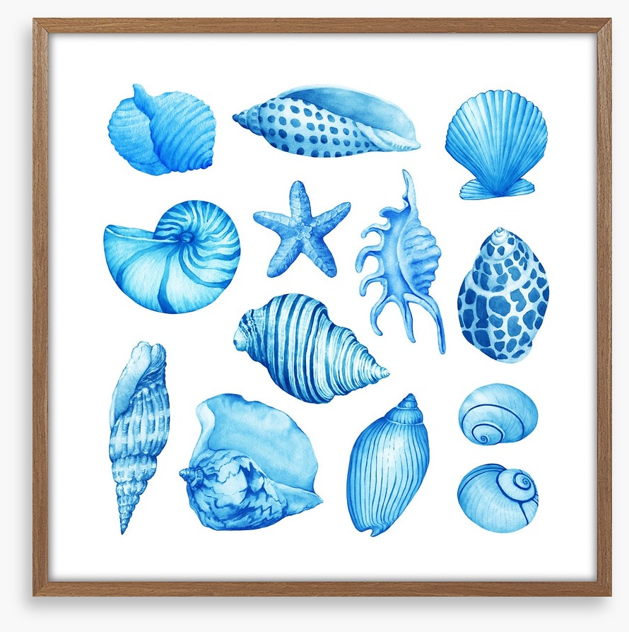 Coastal collection