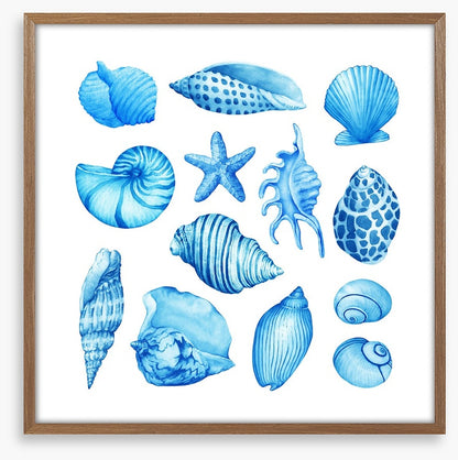 Coastal collection
