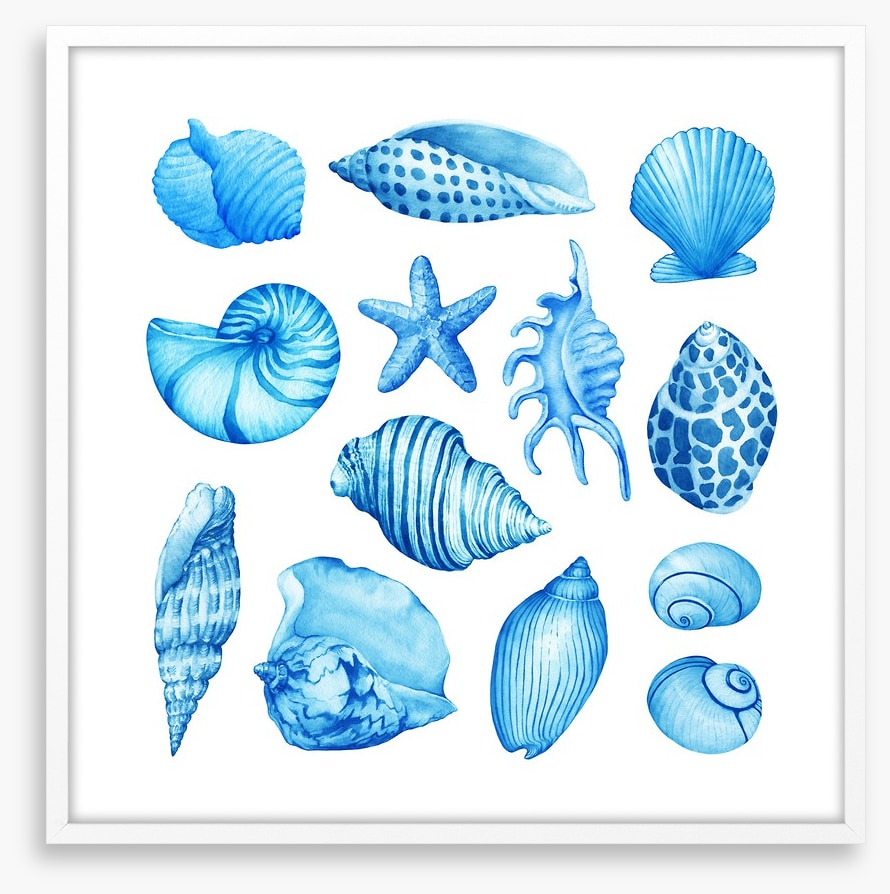 Coastal collection