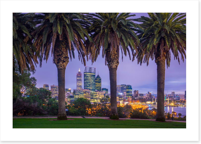 Perth through the palms