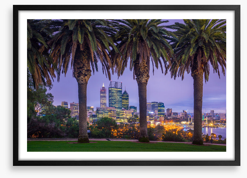 Perth through the palms
