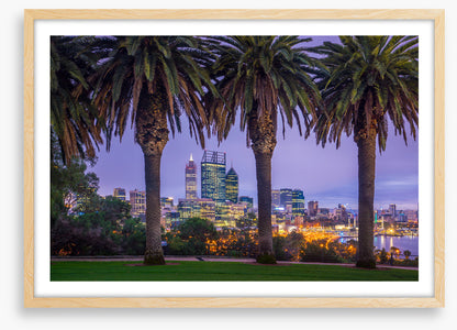 Perth through the palms