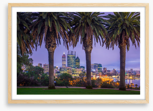 Perth through the palms